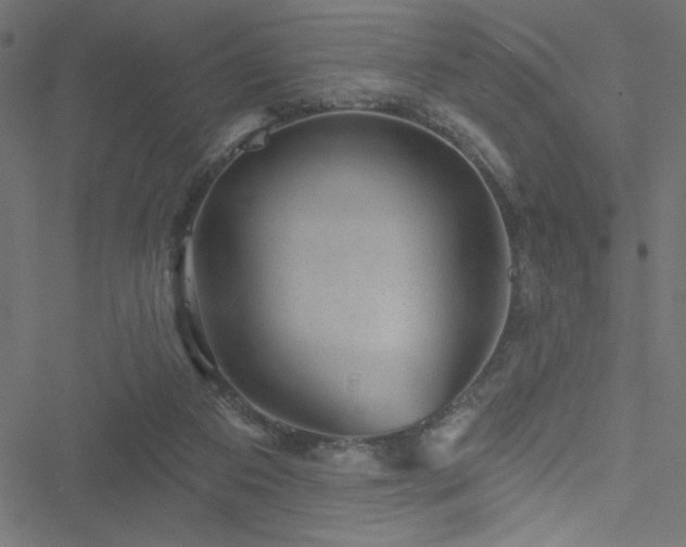 X0000051890113200506241359