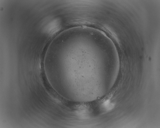 X0000051890115200506241359