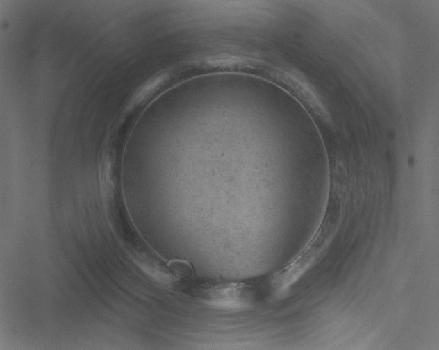 X0000051890116200506241359