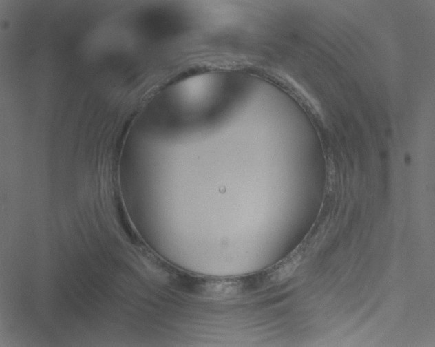 X0000051890117200506241359