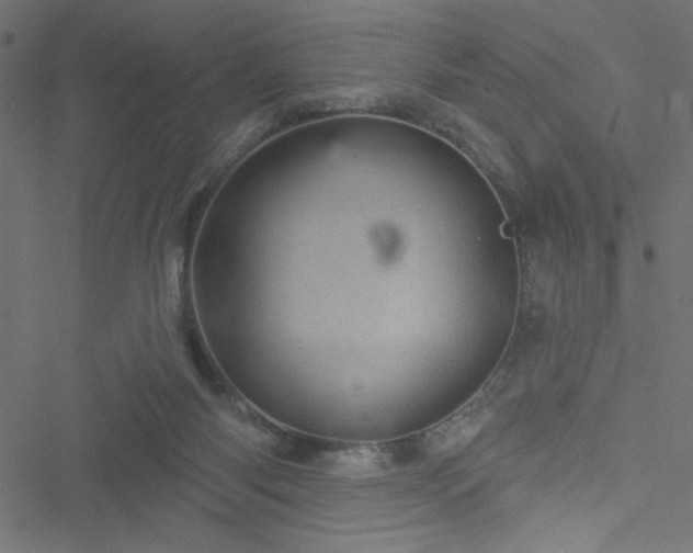 X0000051890118200506241359