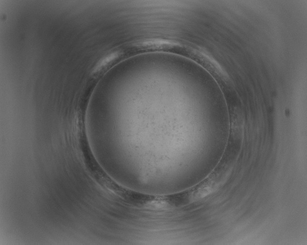 X0000051890119200506241359