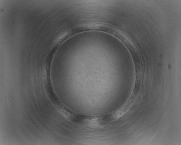 X0000051890120200506241359