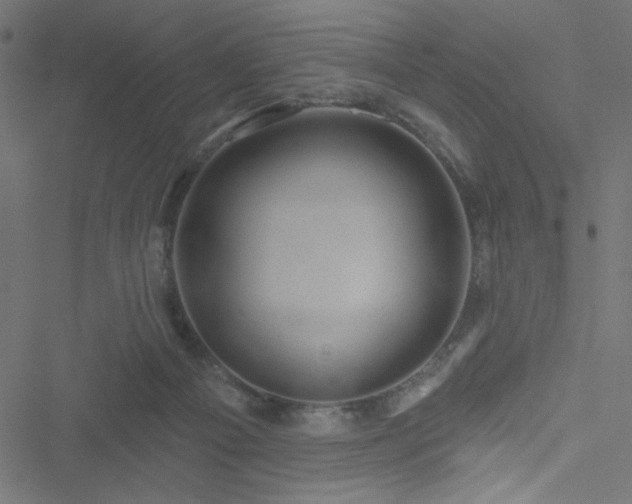 X0000051890121200506241359