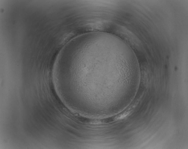 X0000051890123200506241359