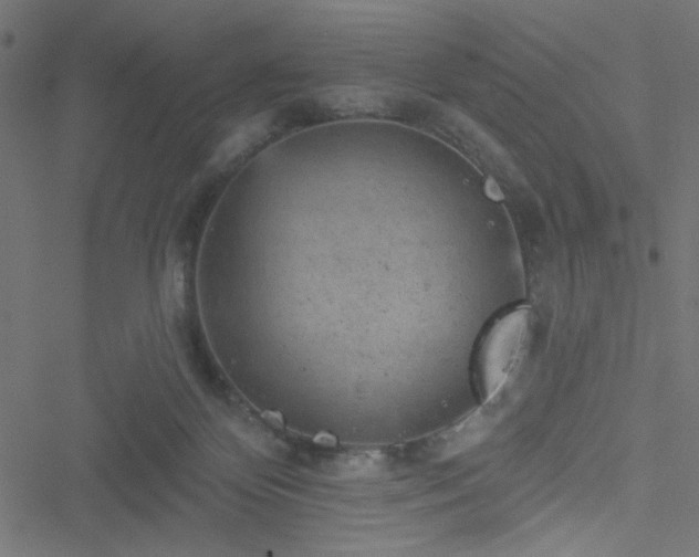 X0000051890124200506241359