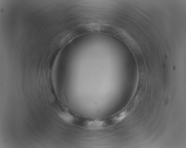 X0000051890125200506241359