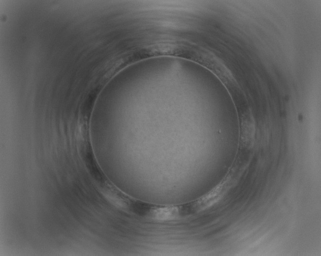 X0000051890126200506241358