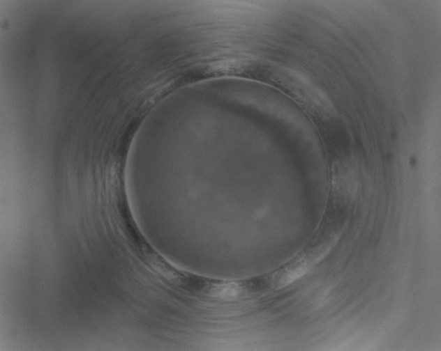 X0000051890127200506241358