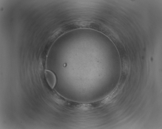 X0000051890128200506241358