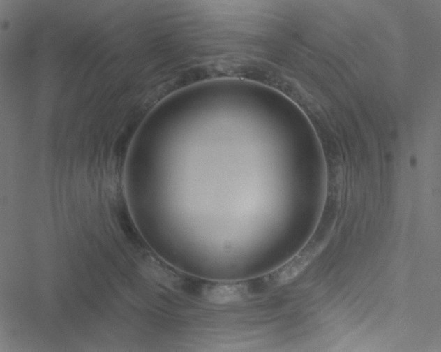 X0000051890129200506241358