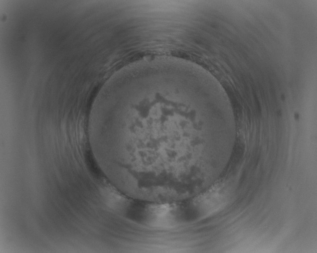 X0000051890131200506241358