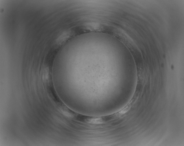 X0000051890132200506241358