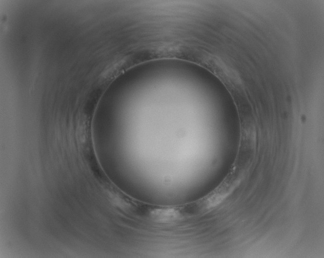 X0000051890133200506241358