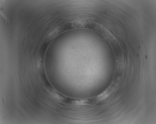 X0000051890134200506241358