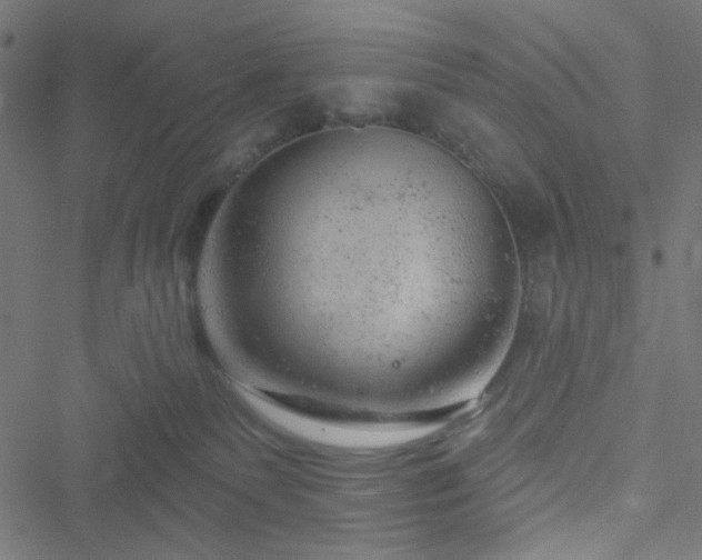 X0000051890135200506241358