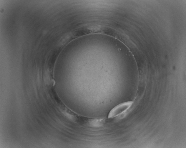 X0000051890136200506241358