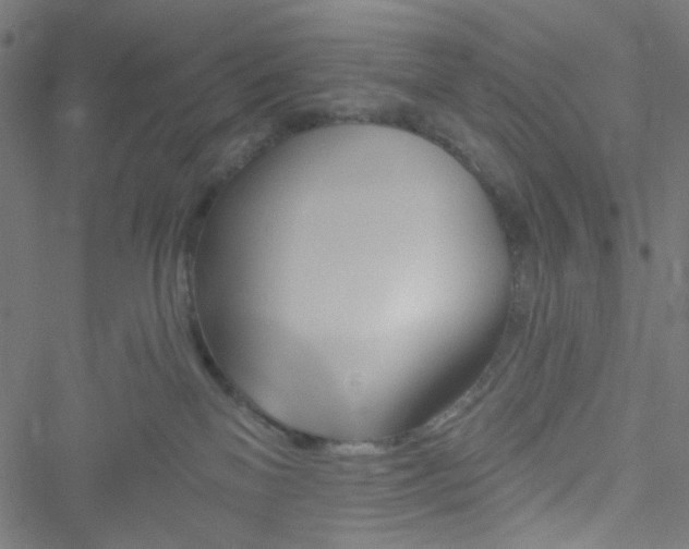 X0000051890137200506241358