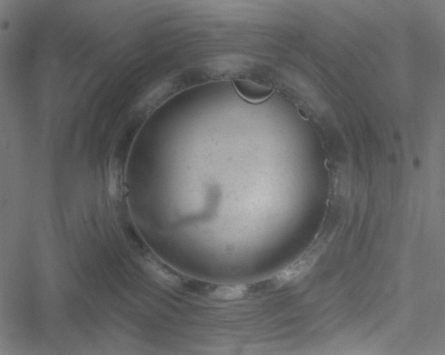 X0000051890138200506241358