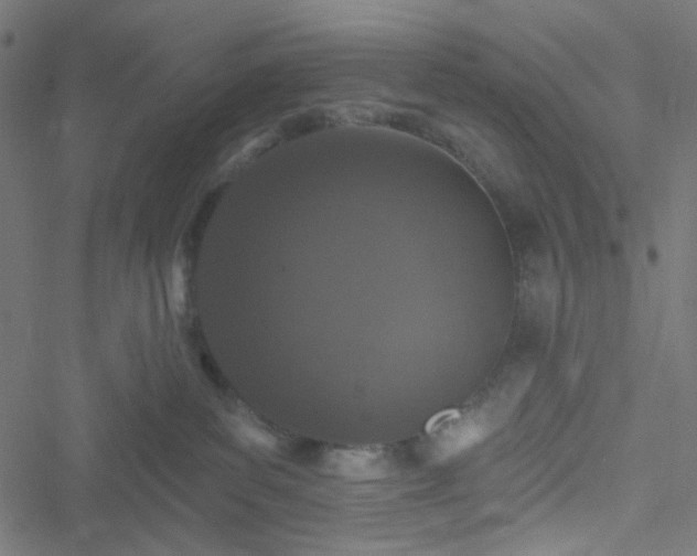 X0000051890139200506241358