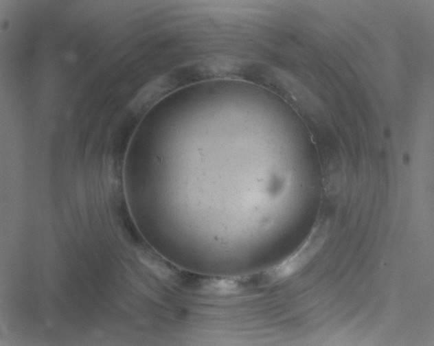 X0000051890140200506241358