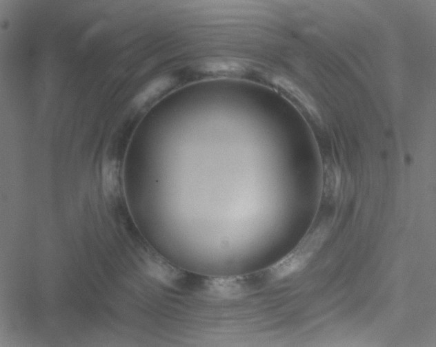 X0000051890141200506241358