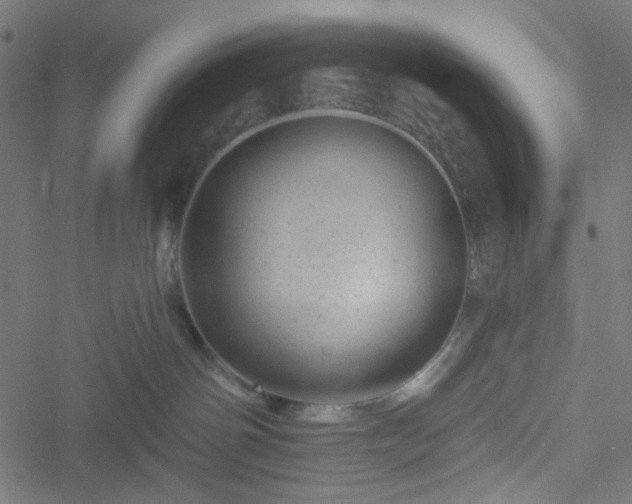 X0000051890142200506241358