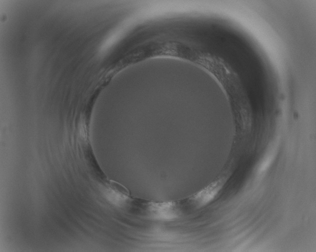 X0000051890143200506241358