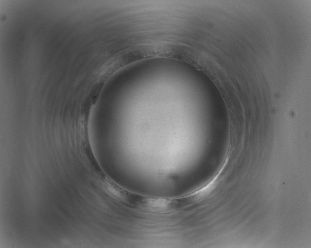 X0000051890144200506241358