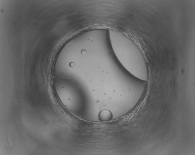 X0000051890145200506241357