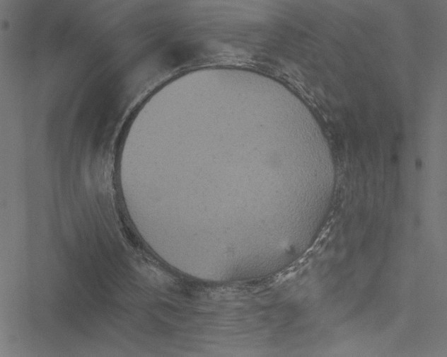 X0000051890146200506241357