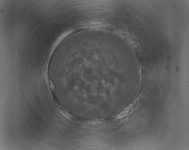 X0000051890147200506241357