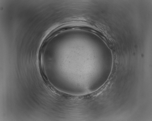 X0000051890148200506241357