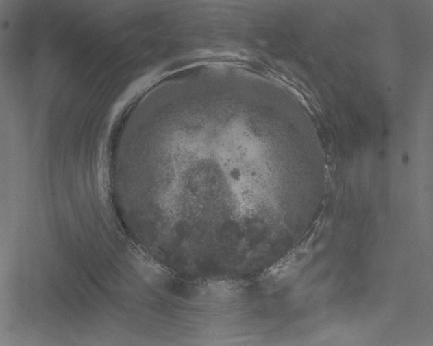 X0000051890149200506241357