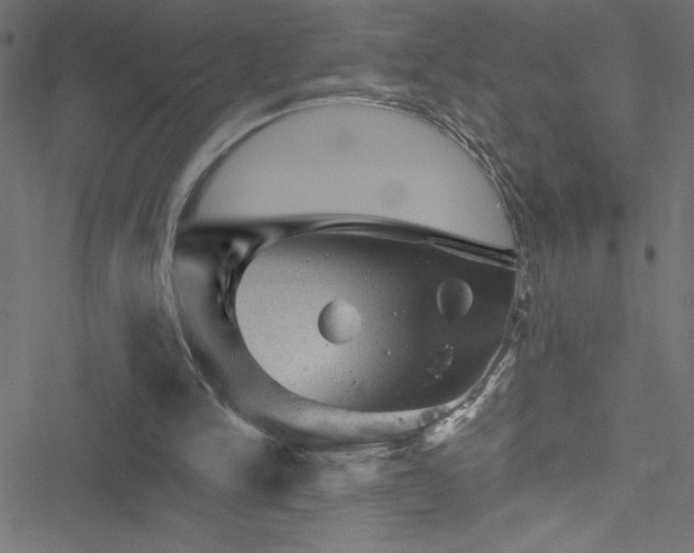 X0000051890150200506241358