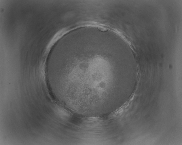 X0000051890151200506241358