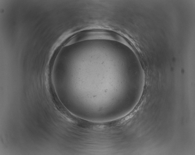 X0000051890152200506241358