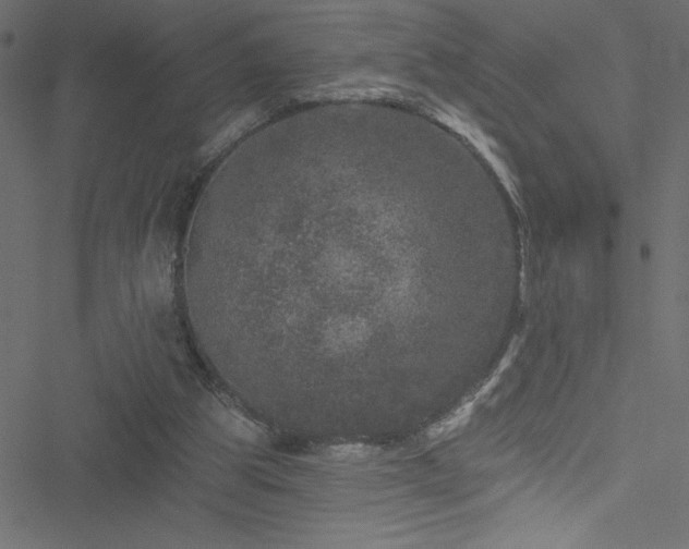 X0000051890153200506241358