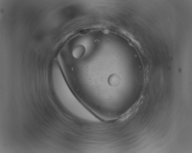 X0000051890154200506241358