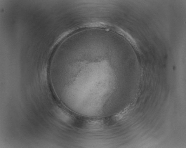 X0000051890155200506241358