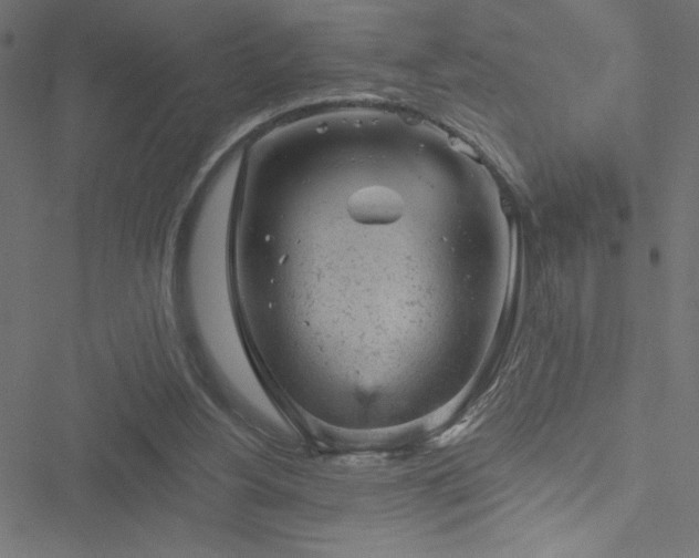 X0000051890156200506241358