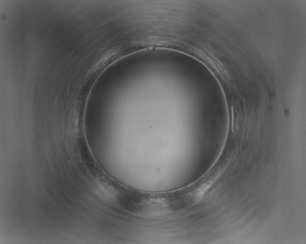 X0000051890157200506241358