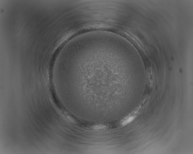 X0000051890158200506241358