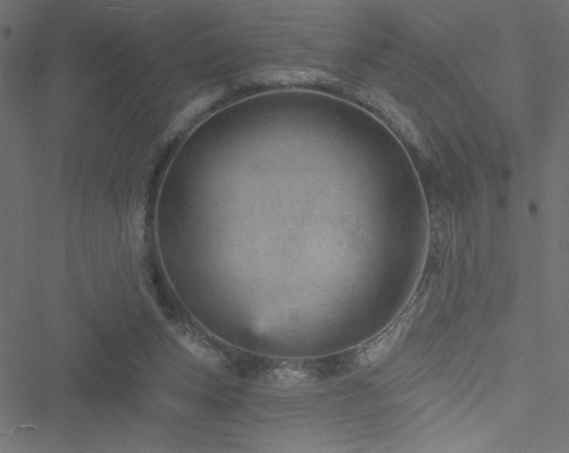 X0000051890159200506241358