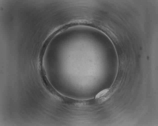 X0000051890160200506241358