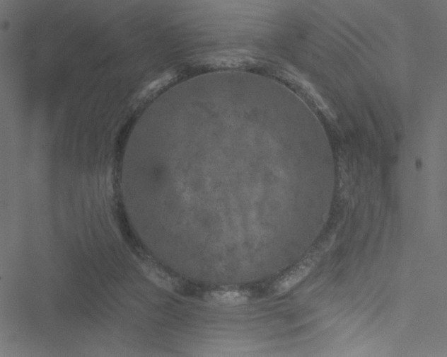 X0000051890161200506241358