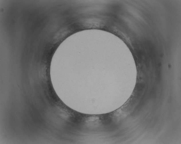 X0000051890162200506241358