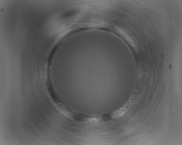 X0000051890163200506241358