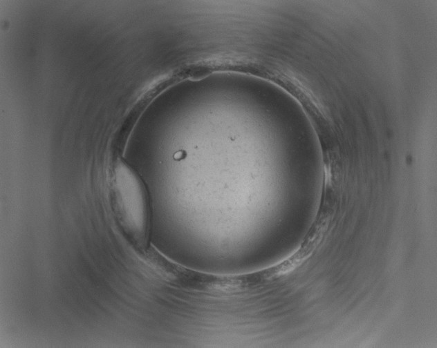 X0000051890164200506241358