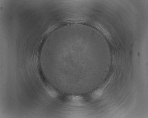 X0000051890165200506241358